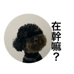 咪咪の喜怒哀樂zzz