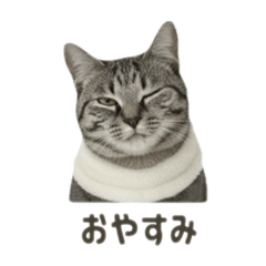 nagisa_20250919225416