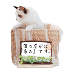 rei_20250919225248