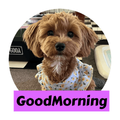 JUNKO_20250919184514