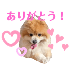 kukio_20250919181437