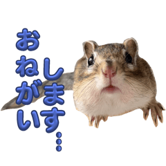 YUKIE_20250920093812