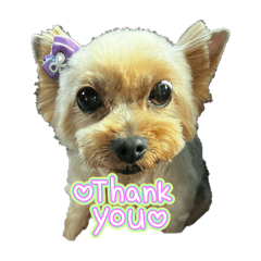 Misaki_20250920100040