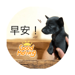 台灣土狗的日常用語