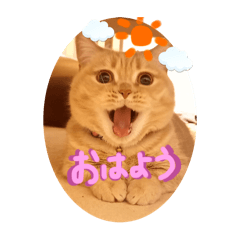 Kiki_20250920093726