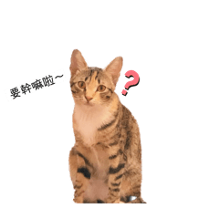 Luna與奶恩探險記