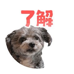 tamagon_20250919212026
