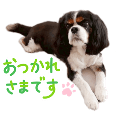 alice_20250920085121