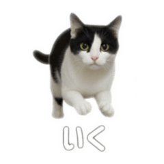 nagisa_20250919233152