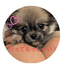 MEIMEI_20250920071607