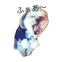 The House of Saitosan