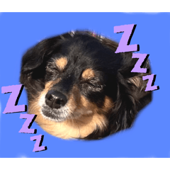 sachi_20250920122508