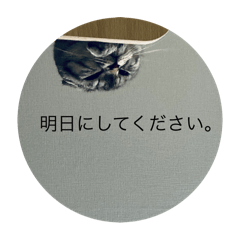 kana_20250920131902