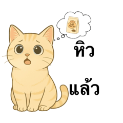 My name is Anda (Thai Cat)