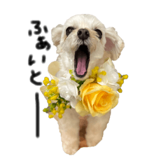 paaaaaan_20250920135751