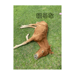 Yuto_20250919062224