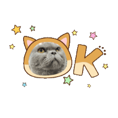 愛睡覺的肥貓♡啊嘟