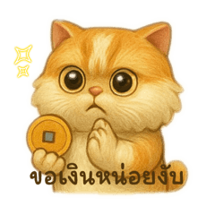 Chubby Ginger cat  name Mifan