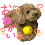 kuuuuuuuuuuuuuchan