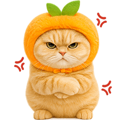 Orange Cat Orange Hat (No Text)