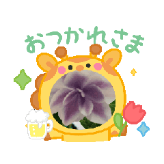 takusutnpu_20250920003500