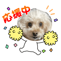 makoto_20250920204910