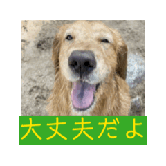 hana_20250921003849