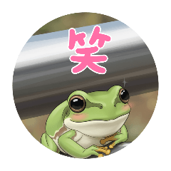 sugar_20250920151006