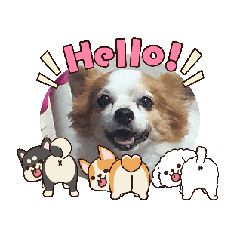 natnat_20250920232005