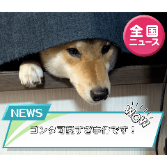 Chikuwa_20250920154951