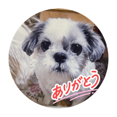 kurumi_20250920161405