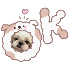 sakura_20250920192719