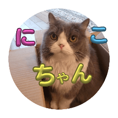 saori_20250920212847