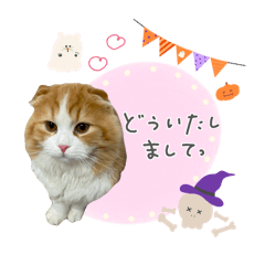 nonnoon_20250920164012