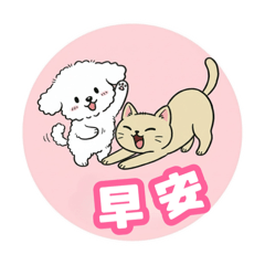 毛毛萌系日常｜寵愛毛毛