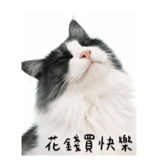 糰糰的糰（p2）