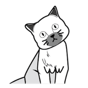 Single face cat (ENG)