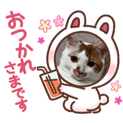 NATSUMI_20250920225228