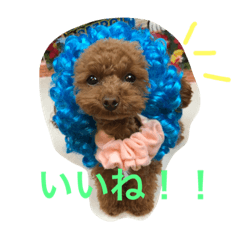 I  love  Belle!!