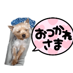 YOKEY_20250920165532