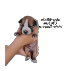 JUMB0