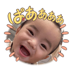 hachi_20250921072733