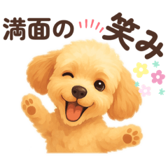 Cute dog! Everyday.
