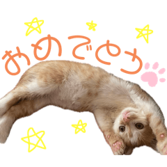 eriko_20250921001942