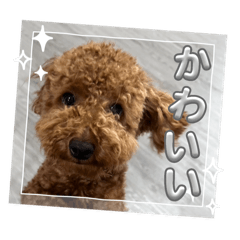 kiki_20250920231403