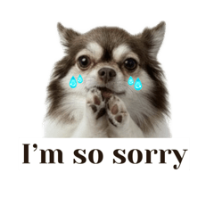 Chichi_20250920230839