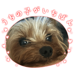 Kurumi_20250920182045