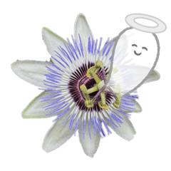 Onigiri_flower