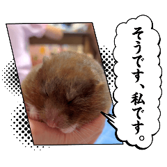 HARUKA_20250921131748