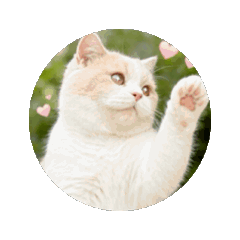 Jerry_20250921125437